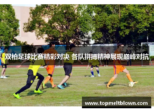 双柏足球比赛精彩对决 各队拼搏精神展现巅峰对抗