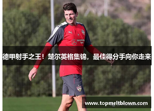 德甲射手之王！楚尔英格集锦，最佳得分手向你走来