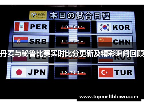 丹麦与秘鲁比赛实时比分更新及精彩瞬间回顾