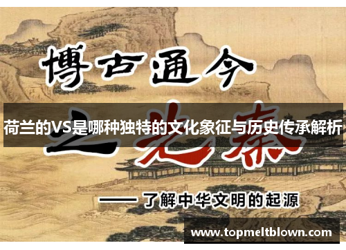 荷兰的VS是哪种独特的文化象征与历史传承解析